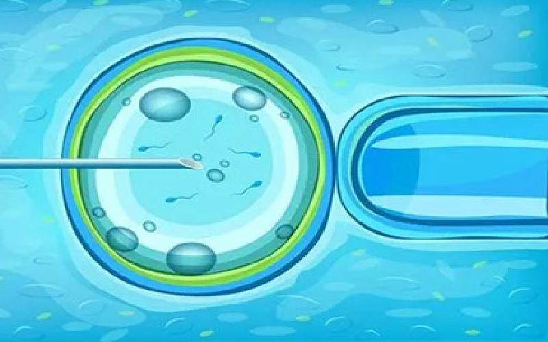 如帮助试管胚胎着床代生